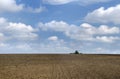 Tractor harrows the field before sowing