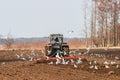 Tractor harrows on a field at spring Royalty Free Stock Photo
