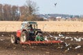 Tractor harrows in the spring with a lot of laughing gulls Royalty Free Stock Photo