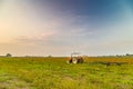 tractor and harvested land Royalty Free Stock Photo