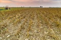 tractor and harvested land Royalty Free Stock Photo