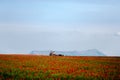 Tractor harvests