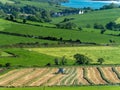 Tractor in the hayfield on a sunny spring day. Picturesque agrarian landscape of Ireland. harvesting hay for animal feed. Farm. Royalty Free Stock Photo