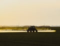 tractor with the help of a sprayer liquid fertilizers on young wheat in the field Royalty Free Stock Photo