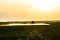 tractor with the help of a sprayer sprays liquid fertilizers on young wheat in the field Royalty Free Stock Photo