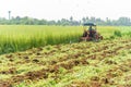 Tractor Incorporation the Green manure