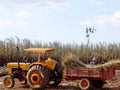 Tractor in labour harvest sugar cane