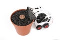 Tractor and Lithops pot Royalty Free Stock Photo