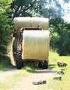 Tractor loaded with hay Royalty Free Stock Photo