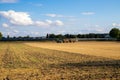 Tractor loading straw onto a trailer, on a harvested field Royalty Free Stock Photo