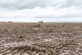 Tractor marks and mud at a wet acre, Bavaria, Germany