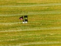 Tractor mowing agricultural field. Aerial view. Cultivating field. Royalty Free Stock Photo