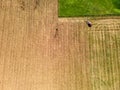 Tractor mowing agricultural  field. Aerial view.  Cultivating field. Royalty Free Stock Photo