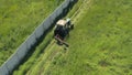 Tractor mowing grass on a meadow viewed from above