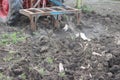 A tractor ploughing a field to prepare it for the cultivation. Plough are long gone now and machines took over the agriculture