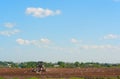 The tractor ploughs a spring field