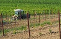 Tractor, with plow as trailer, at work in the vineyards, between the old plants and the vine rooted grafts just planted .