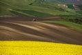 A tractor plow soil in spring and an golden field of flowering r