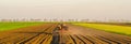 Tractor plowing agricultural field on sunny summer day Royalty Free Stock Photo