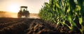 The tractor plowing a cornfield during a beautiful sunset. AI generated image Royalty Free Stock Photo