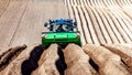 Tractor plowing the land sowing potatoes on agricultural land