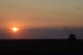 Tractor plowing plow the field on a background sunset. tractor silhouette on sunset background