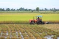 Tractor plowing a rice field