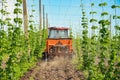 Hops field and tractor Royalty Free Stock Photo