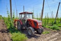 Hops field and tractor Royalty Free Stock Photo