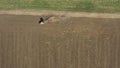 Top view of an agricultural field with tractor pulling a disc harrow