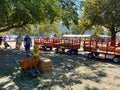 A tractor pulling a train of wagons on a seasonal adventures pumpkin patch festival.