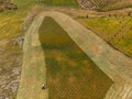 Tractor removes green grass from field, concept of harvesting silage and hay for cows. Aerial top view Royalty Free Stock Photo