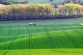 Tractor Rides on Road Royalty Free Stock Photo