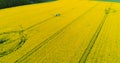 Agriculture Aerial Of Tractor Spraying field With Pesticides, Royalty Free Stock Photo