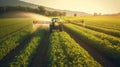 Tractor spraying soy field Royalty Free Stock Photo