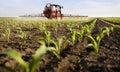 Tractor spraying corn field