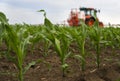 Tractor spraying corn field Royalty Free Stock Photo
