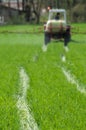 Tractor spraying herbicide over field and making tracks in young wheat Royalty Free Stock Photo