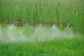 Spraying wheat field Royalty Free Stock Photo
