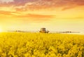 Tractor in spraying the oilseed rape farmland. Royalty Free Stock Photo