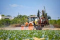 Tractor spraying pesticide, pesticides or insecticide spray on lettuce or iceberg field. Pesticides and insecticides on Royalty Free Stock Photo