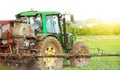 Tractor spraying pesticide, pesticides or insecticide spray on lettuce or iceberg field at sunset. Pesticides and insecticides on Royalty Free Stock Photo