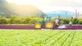 Tractor spraying pesticide, pesticides or insecticide spray on lettuce or iceberg field at sunset. Pesticides and insecticides on