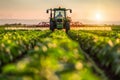 A tractor spraying pesticide on soybean farm at spring sunset.