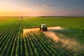 A tractor spraying pesticide on soybean farm at spring sunset.