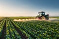 A tractor spraying pesticide on soybean farm at spring sunset. Royalty Free Stock Photo