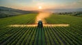 Tractor Spraying Pesticide on Wheat Field Royalty Free Stock Photo