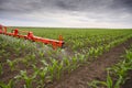 Tractor spraying corn field