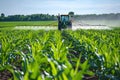 Tractor spraying pesticides fertilizer on corn field. Generative AI Royalty Free Stock Photo