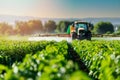 tractor spraying pesticides and fertilizers on soybean field Royalty Free Stock Photo